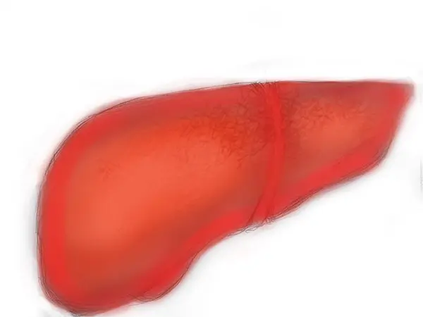 Hepatitis in the liver. RX medication storyboards. Freelance storyboard artist services: MisterPhoton.com