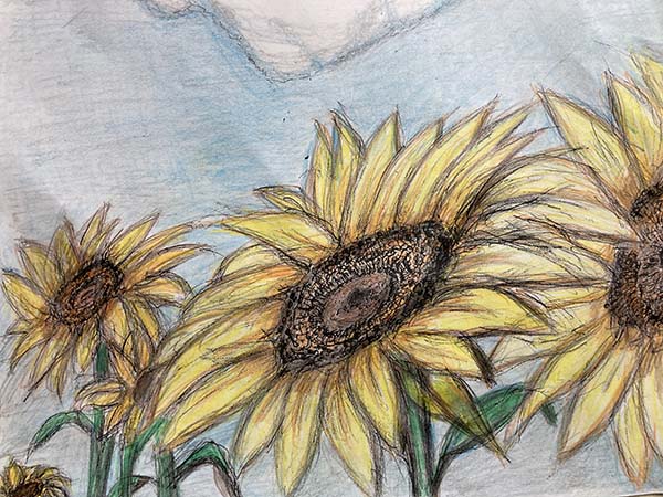 Sunflowers - Colored pencil. Artist Nick Teti, MisterPhoton.com